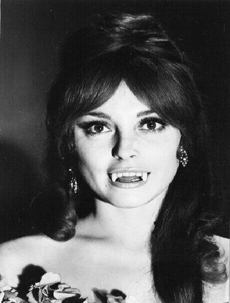 Actress Sharon Tate in The Fearless Vampire Killers Poster Picture Photo 8.5x11