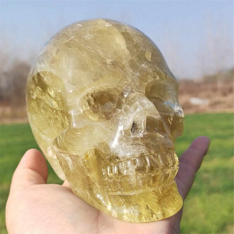 1.37kg Citrine Skull Natural Reiki Crystal Skull Decor Hand Carved Gem Gift