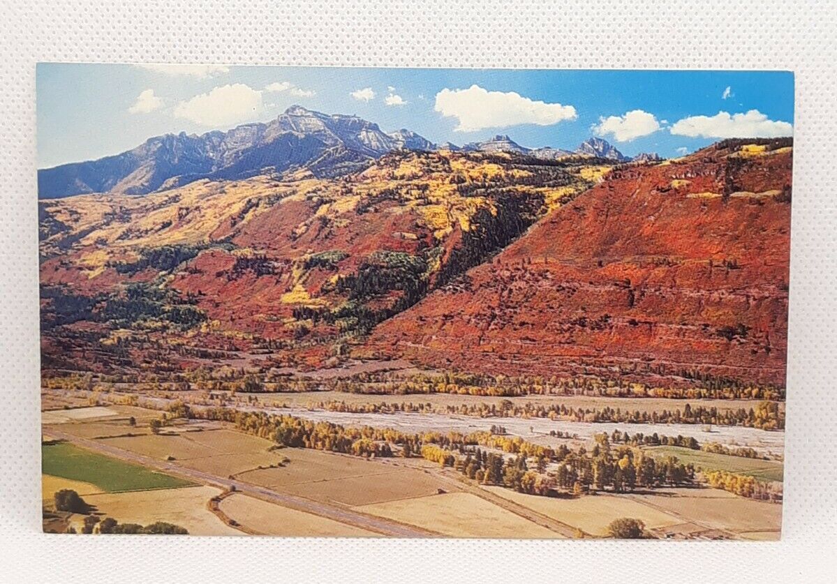 Rocky Mountains Fall Leaves Magic Carpet Uncompahgre Mt Sneffels CO Postcard 