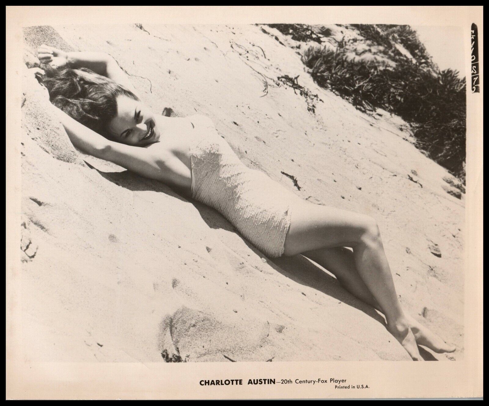 Hollywood Beauty CHARLOTTE AUSTIN CHEESECAKE SWIMSUIT 1950s ORIG Photo 558      