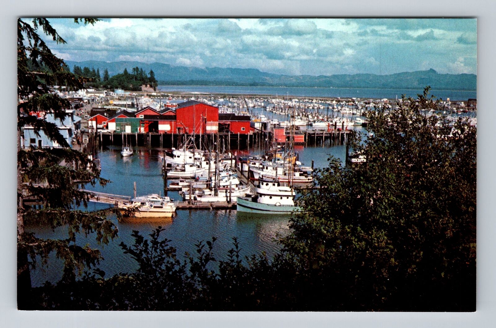 Ilwaco WA-Washington, Aerial Port Basin, Antique, Vintage Postcard
