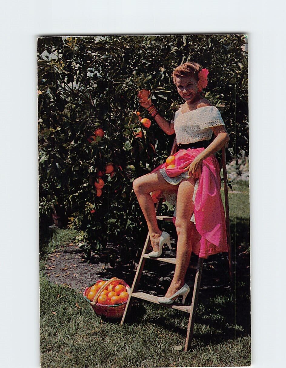 Postcard Woman Picking Oranges Florida USA