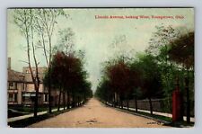 Youngstown OH-Ohio, Residential District, Lincoln Avenue Vintage Postcard picture