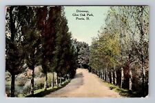 Peoria IL-Illinois, Glen Oak Park Driveway, c1913 Vintage Souvenir Postcard picture