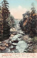 Youngstown OH Ohio Idora Old Mill Creek Park Bridge Waterfalls Vtg Postcard V7 picture