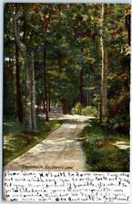 Postcard - Lover's Lane, Thomasville, Georgia, USA picture