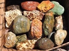 18lbs Lot of UNUSUAL MIXED STONES Rock  Agate, Jasper, Petrified Wood, Chert etc picture