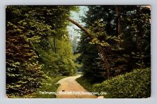 Youngstown OH-Ohio, Mill Creek Park the Driveway, Antique Vintage Postcard picture
