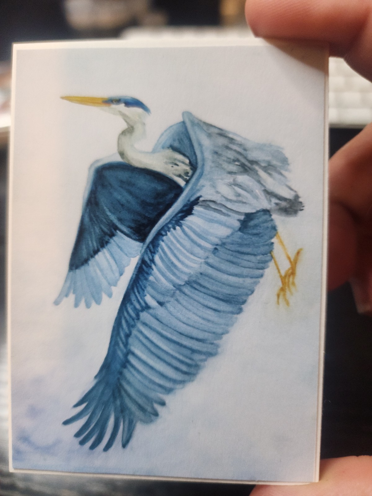 Mini Heron Watercolor Study, 2.5 x 3.5 ACEO Print
