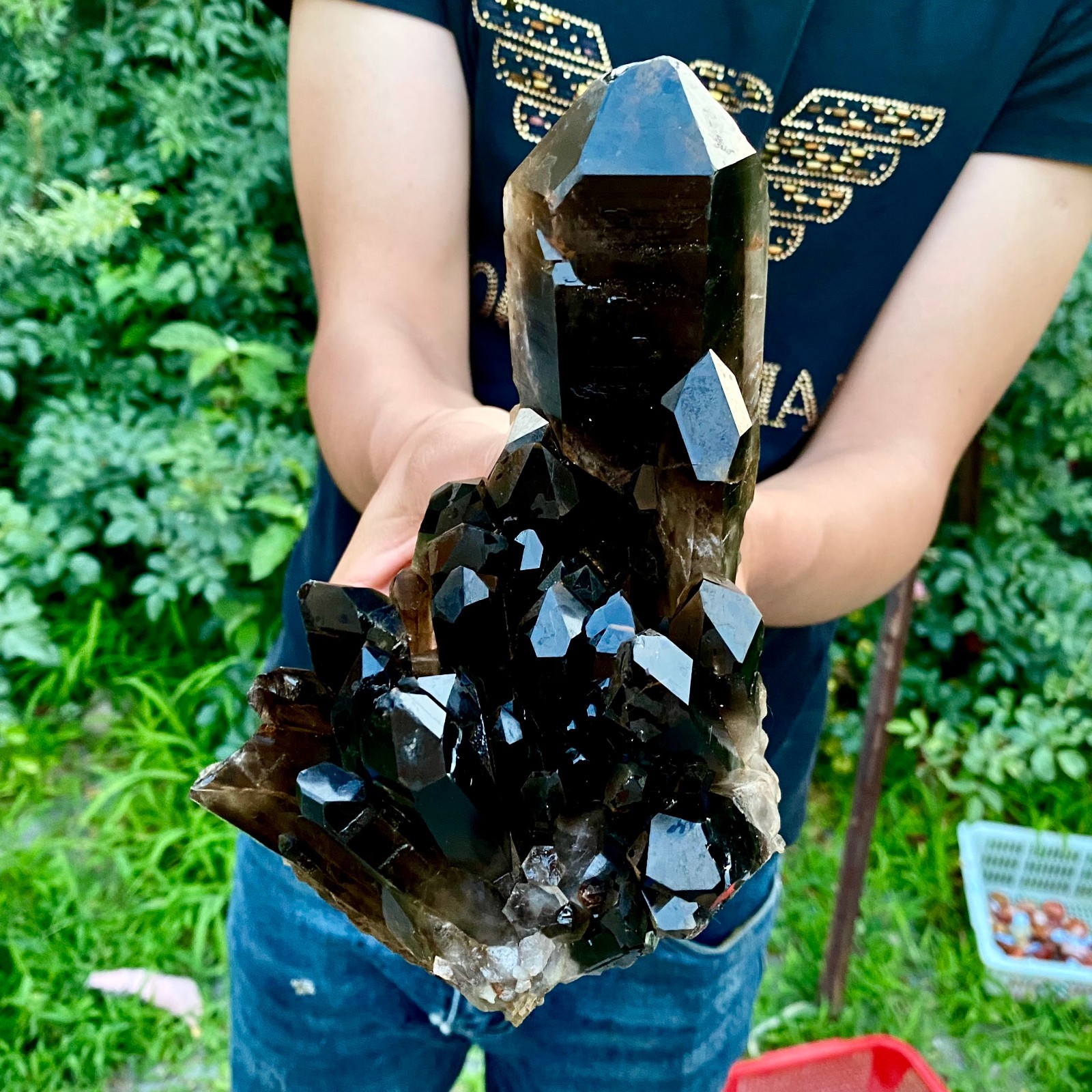 4.6LB  Natural Tea black Crystal quartz Cluster Mineral Specimen Healing reiki