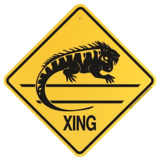 Iguana Crossing Xing Sign New 14 3/8 x 14 3/8