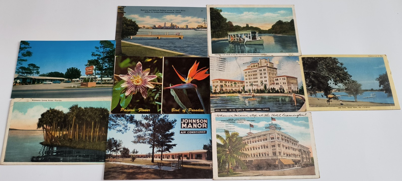 Vtg Lot 1930s-1950s Florida Scenes Postcards 🦀🍊🐊🌴