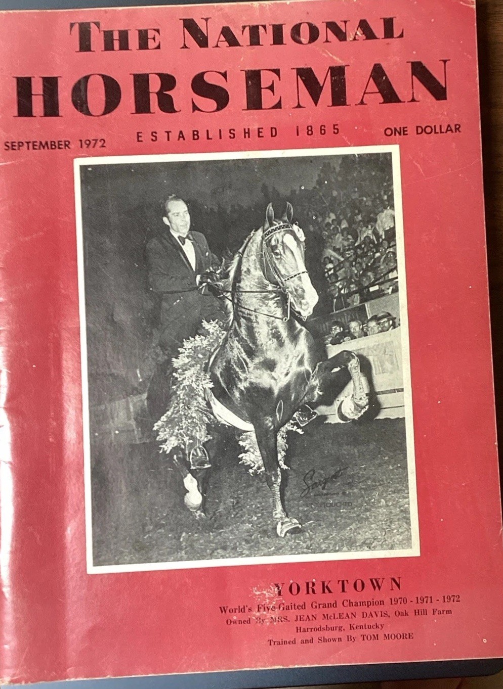 1972 National Horseman Yorktown 3X World 5-Gaited Champion Saddlebred