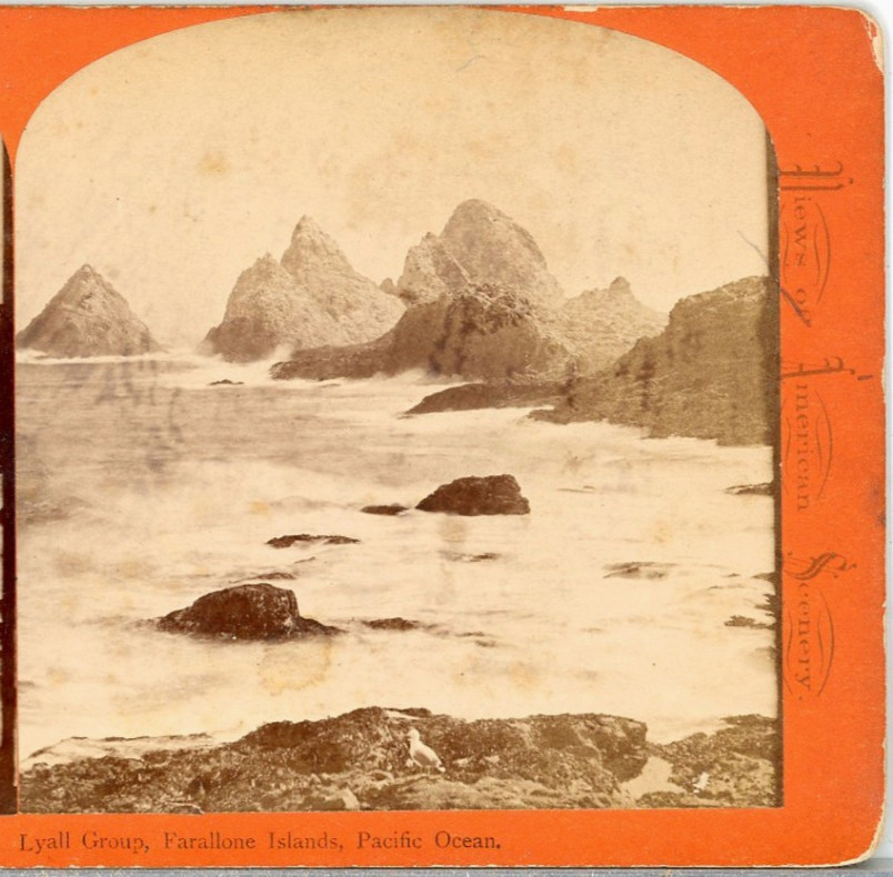 J.J. Reilly, Lyall Group, Farallone Islands, Pacific Ocean--Stereoview D114