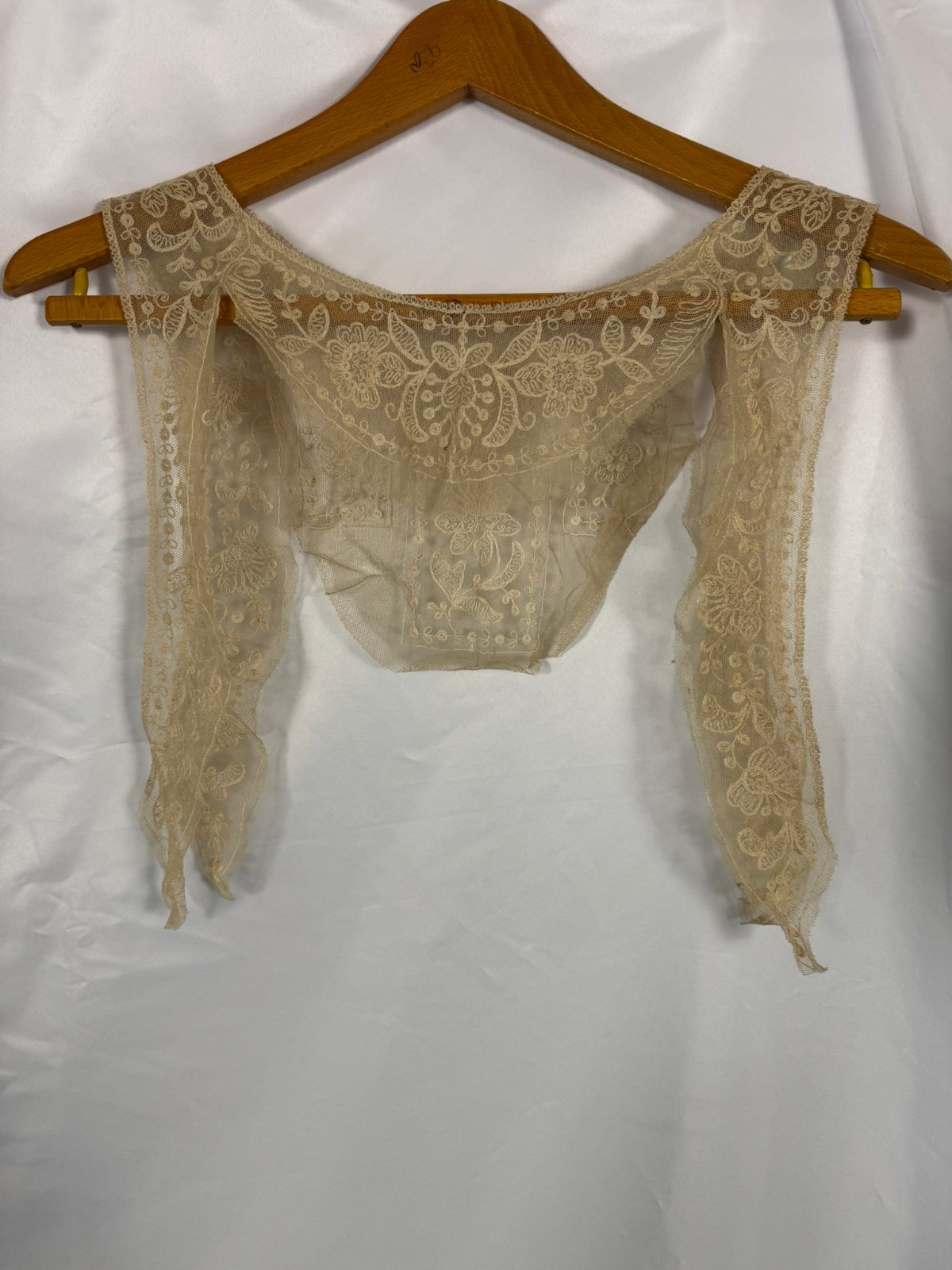Antique European Lace Collar with Attached Sleeve Extensions, Early 20th Century