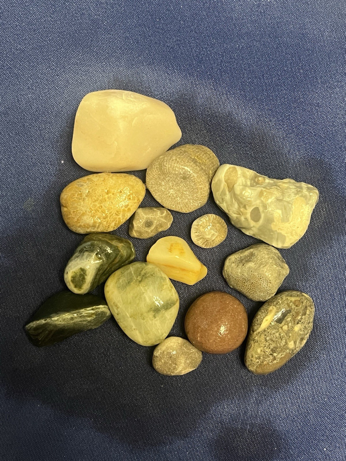 Freshly Pulled Raw Fossils Coral Petoskey Stones Quarts From Great Lake Huron Mi