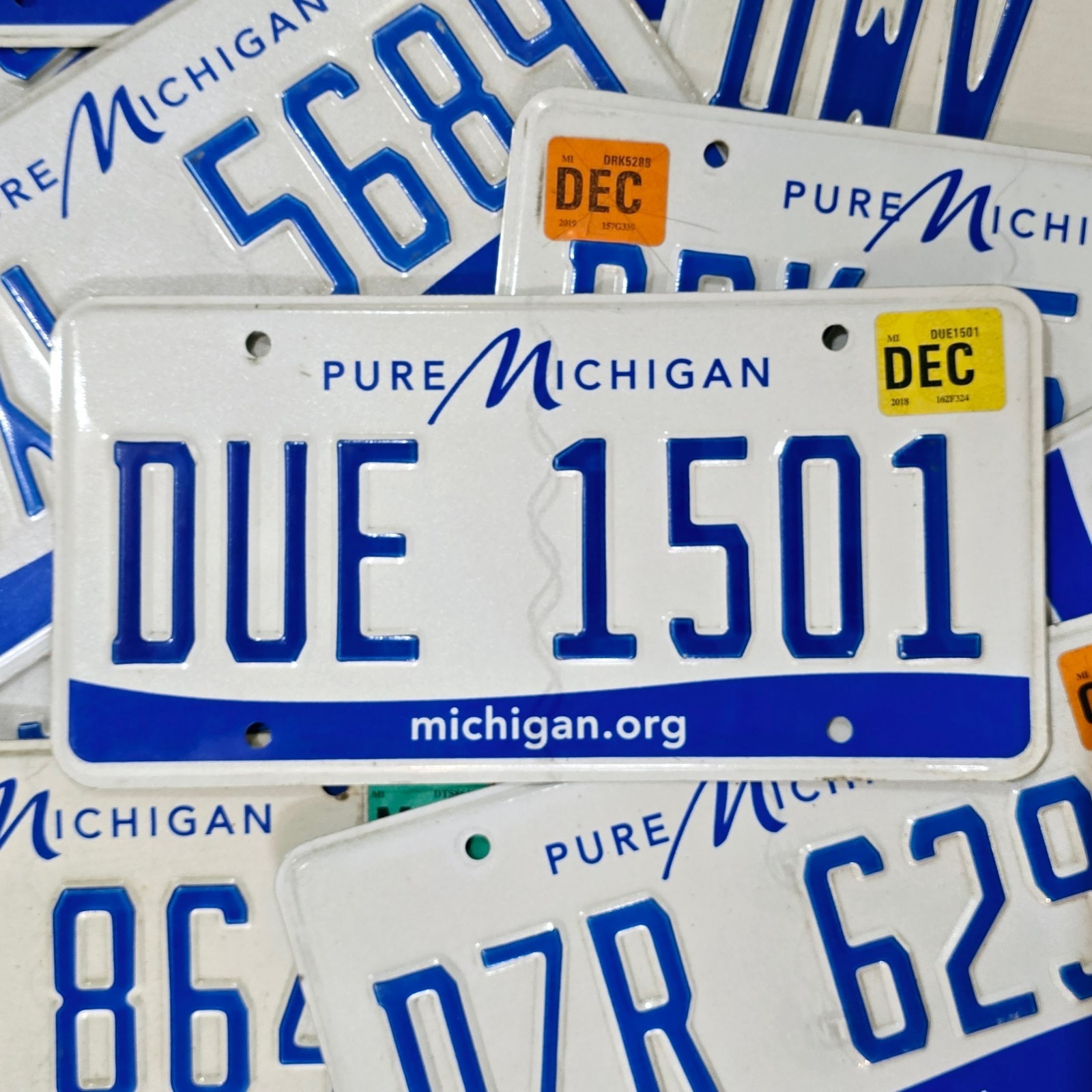 Michigan License Plate 🔥FREE📫🔥 1 Random MI Pure Michigan Real Tag