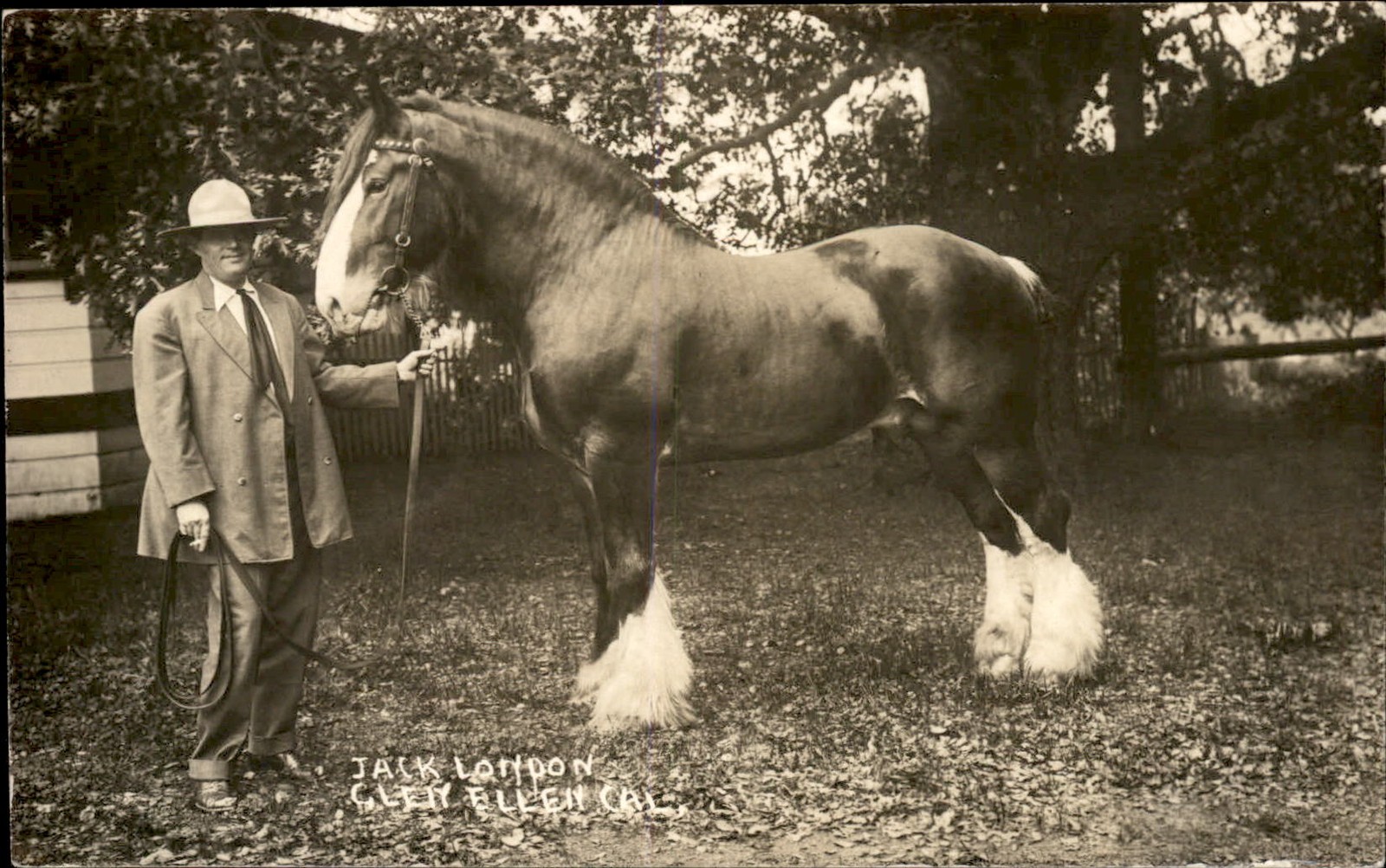 Glen Ellen CA Author Jack London w/ Horse c1900s-10s Real Photo Postcard bhn