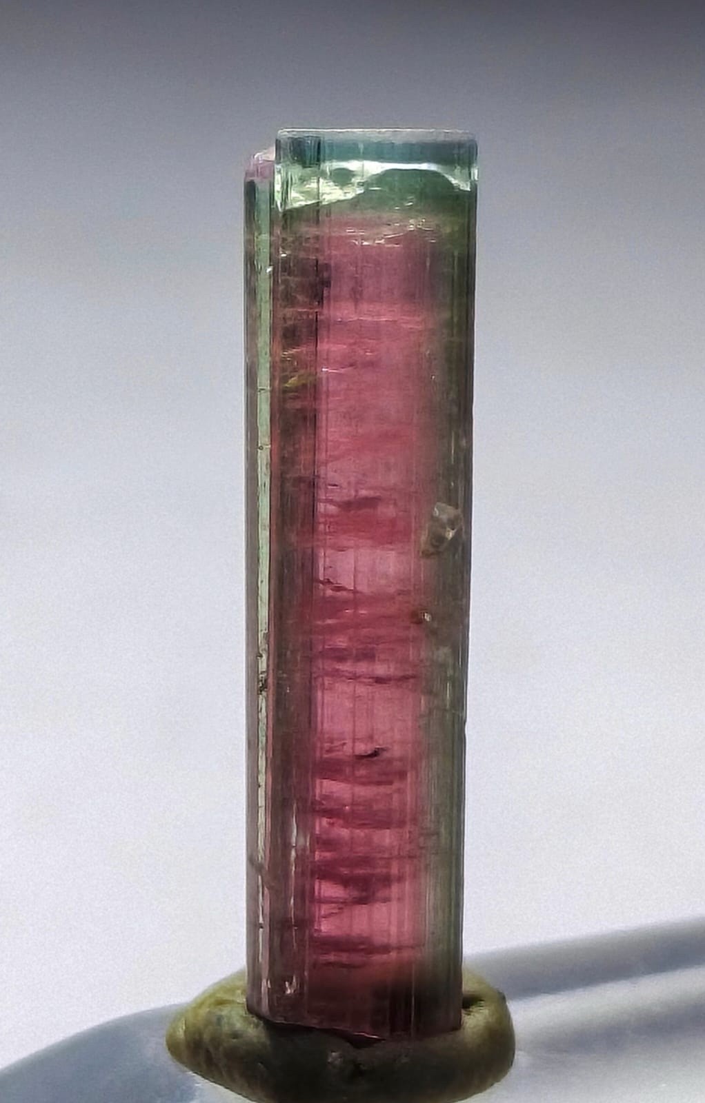 Naturel Top Quality Rare Bicolor Green Cap Watermelon Tourmaline Specimen