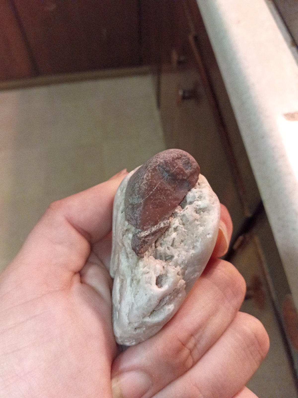 Quartz and Argillite Conglomerate \