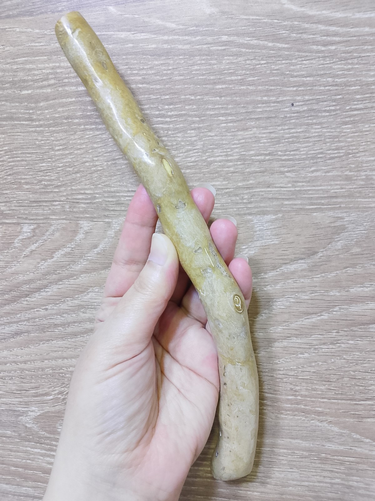 Genuine Very Rare Golden, Coral Branch 165 gr Natural Specimen for jewelry 28 cm