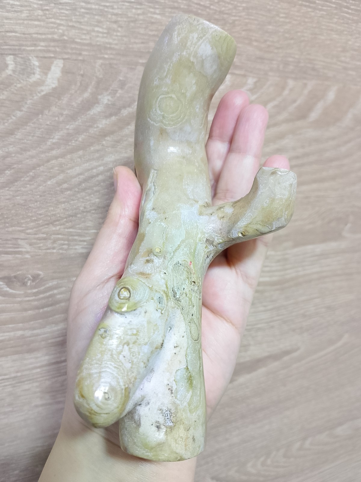Golden Coral Branch Genuine Very Rare 480 gr Natural Specimen for jewelry 17,5cm