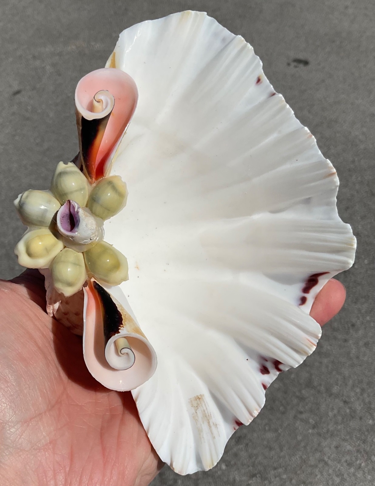 Clam Shell Ocean Seashell Decór Serving Bowl Dish 6” Vtg