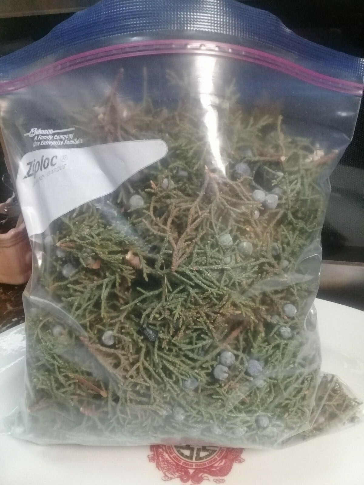 2 POUNDS FRESH ORGANIC JUNIPER  LEAVES  WITH BERRIES 