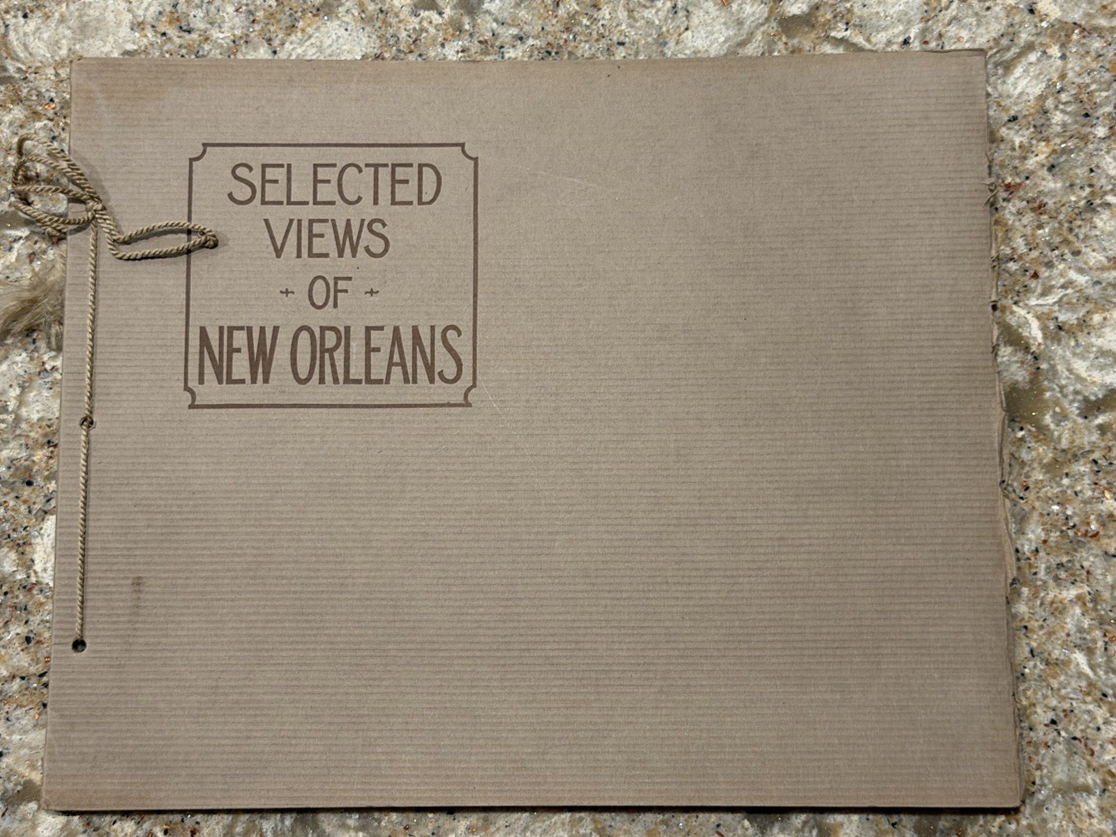 Antique NEW ORLEANS Photo Book ALBERTYPE Brooklyn Selected Views 1908
