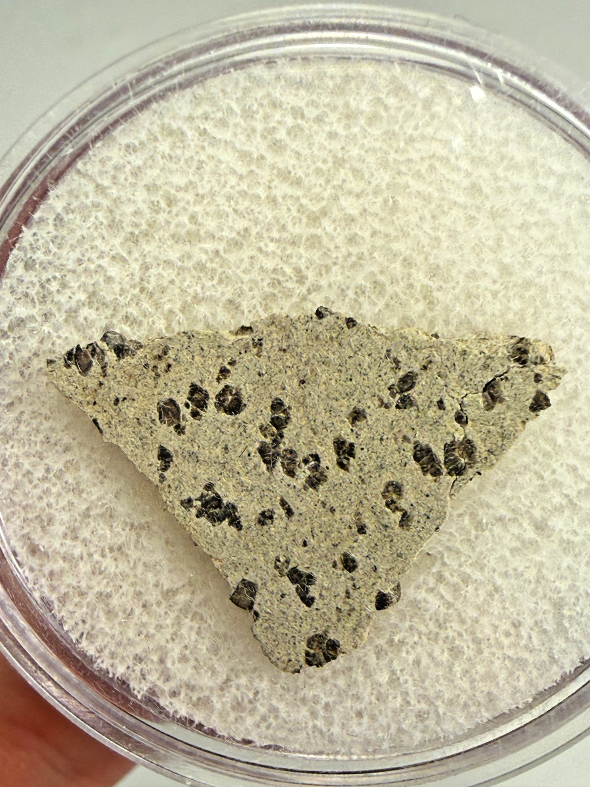 MUSEUM QUALITY RARE TARKINT 001 MARTIAN SHERGOTTITE METEORITE 1.5 GMS