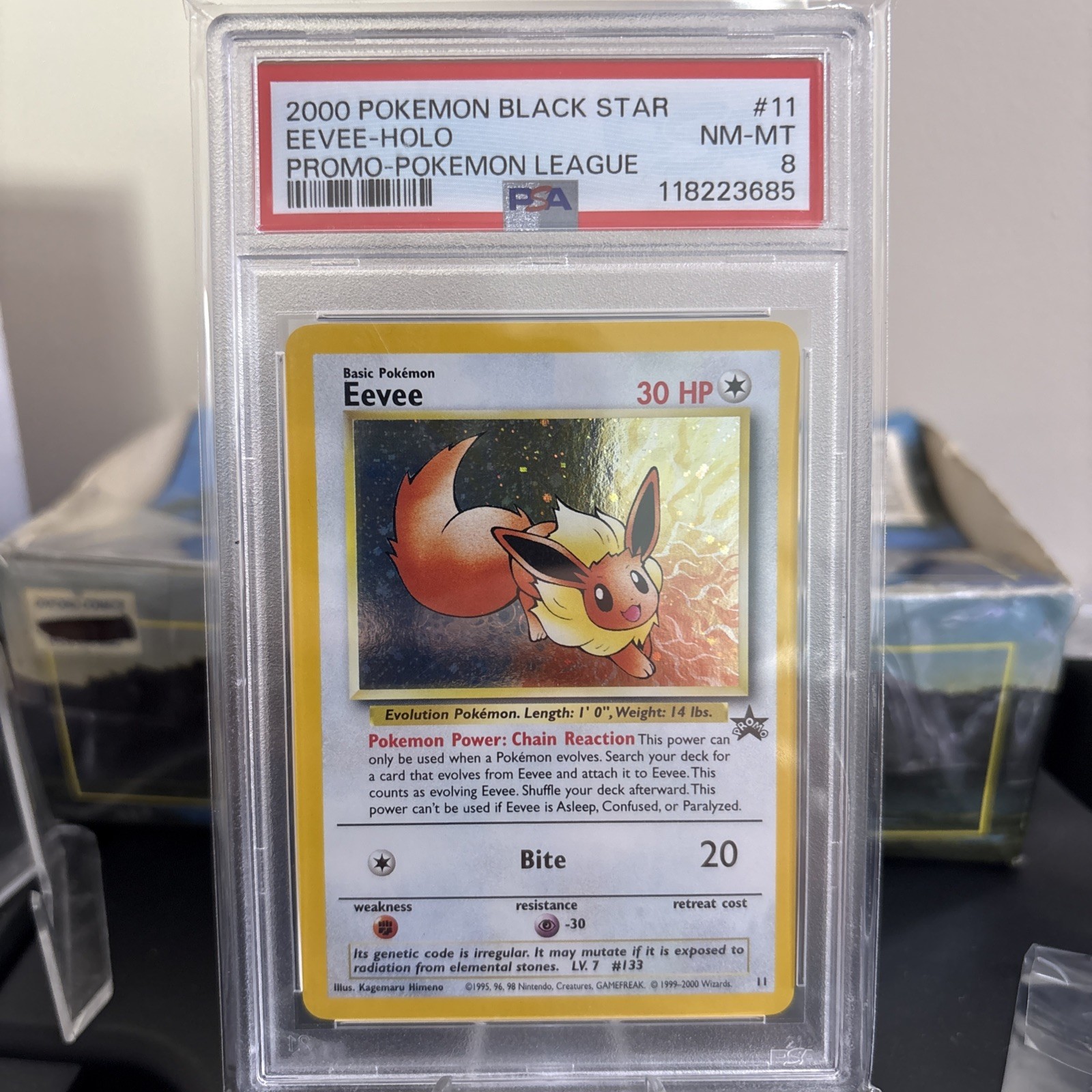 2000 Pokemon Eevee Holo Blackstar Promo PSA 8 # 11