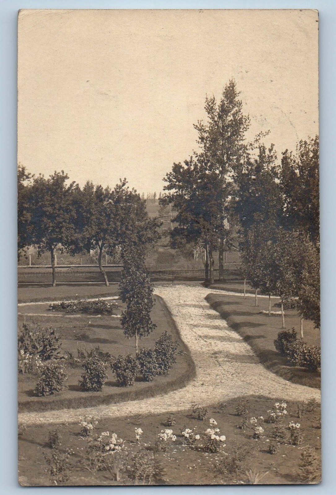 c1910's View Of Garden Trees Gilby North Dakota ND RPPC Photo Antique Postcard