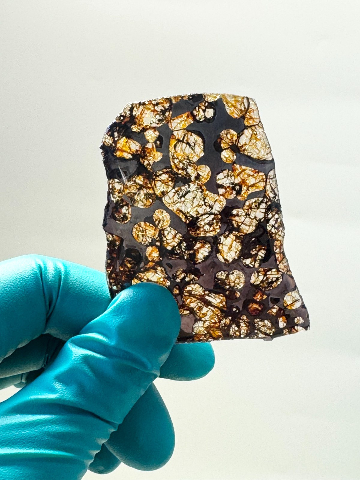 10g Sericho Pallasite Meteorite Slice From Kenya With A Certificate