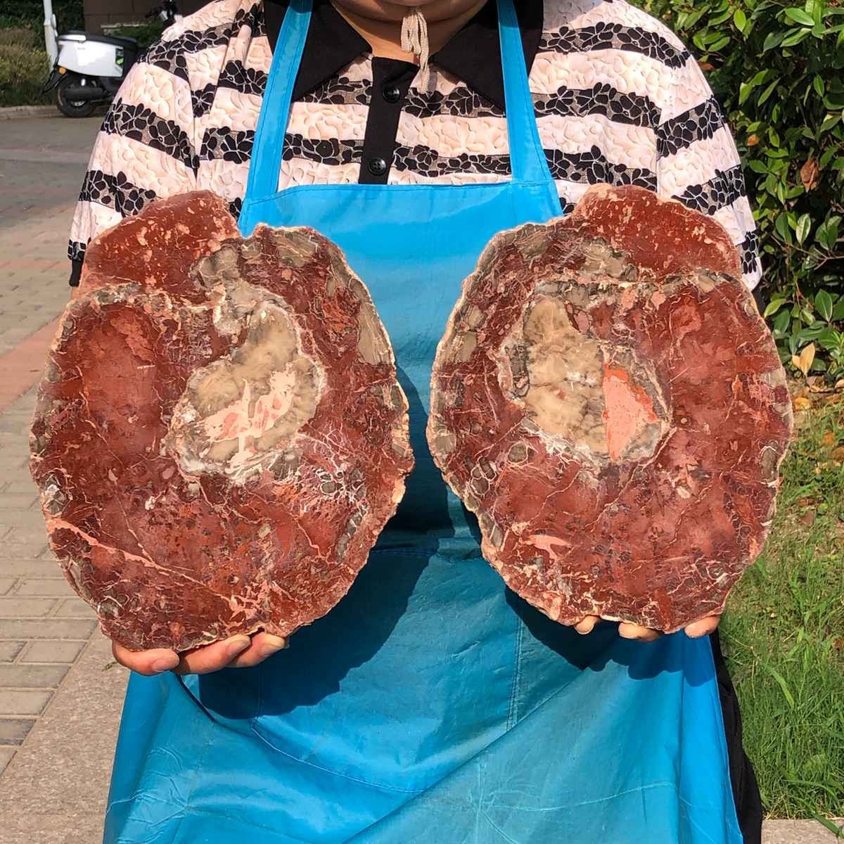 2pc 6.66LB Natural Petrified Wood Crystal Fossil Slice Shape Specimen Healing