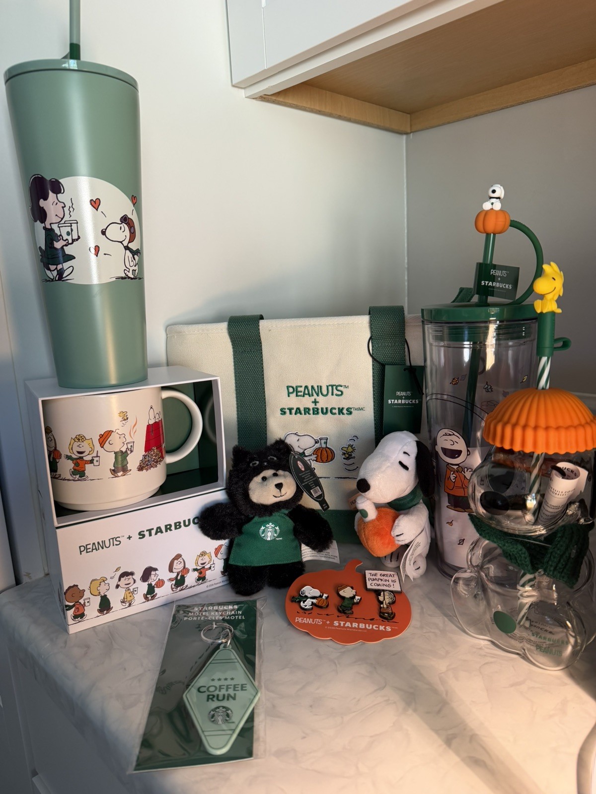 Starbucks Peanuts Snoopy Collection Lot of 9 items