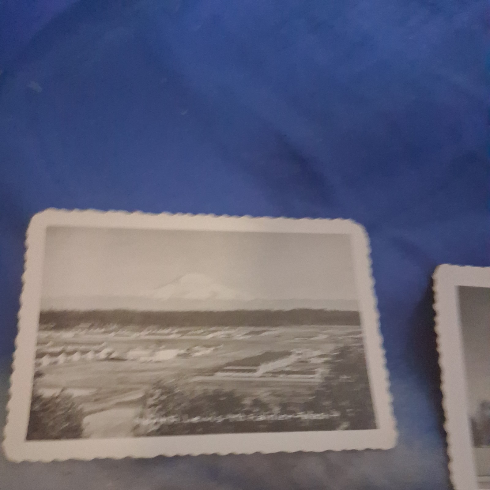 Vtg WWII Era 7Pc B&W Photo Set  ft cambell-ft hood