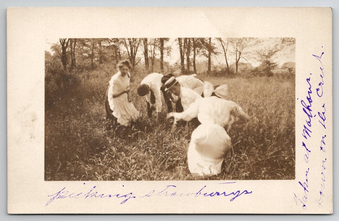 McSherrystown PA RPPC Picking Strawberries At Nathans House c1910 Postcard I45