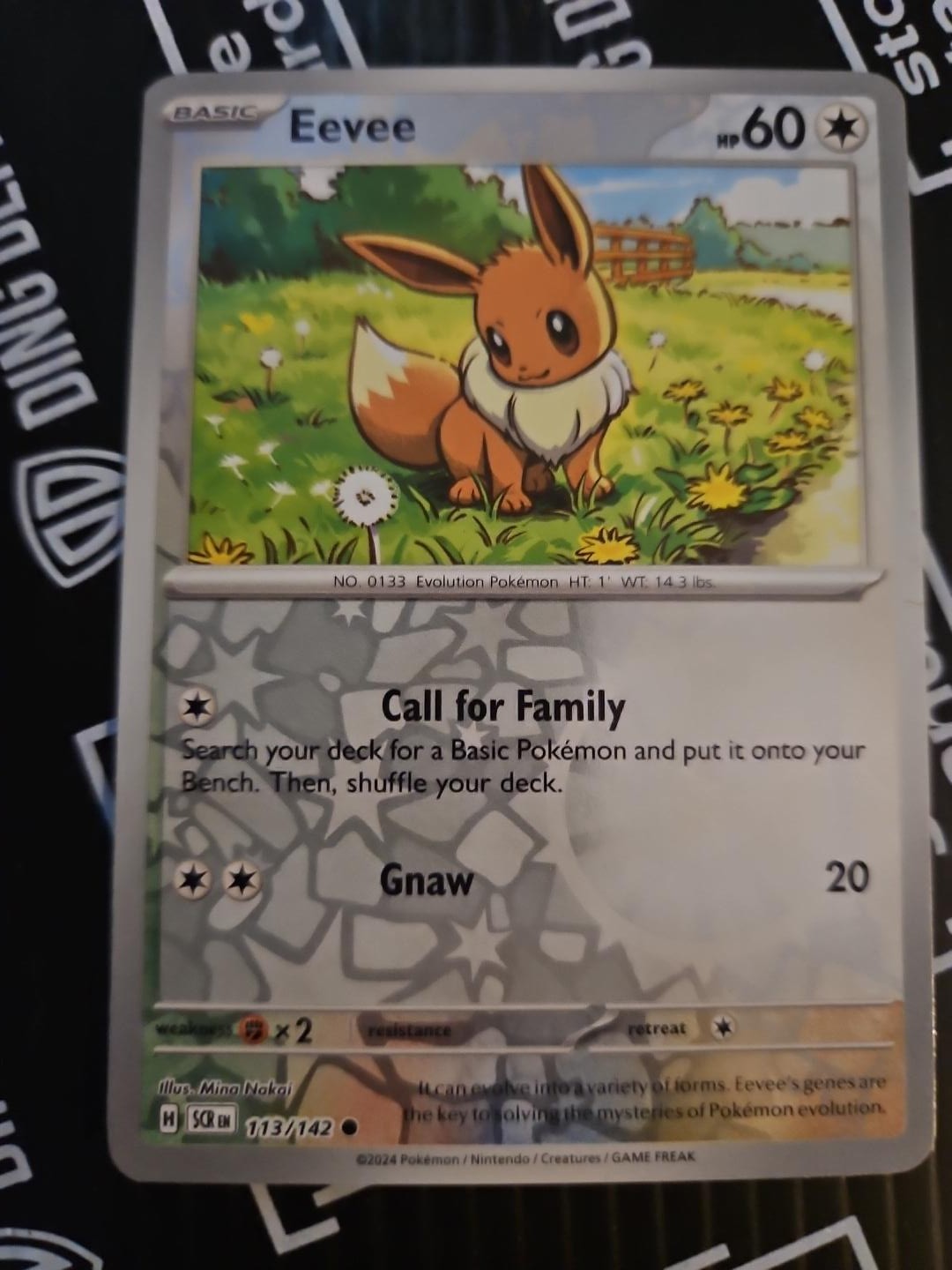 Eevee 113/142 Reverse Holo 2024 Pokemon Stellar Crown SCR Near Mint