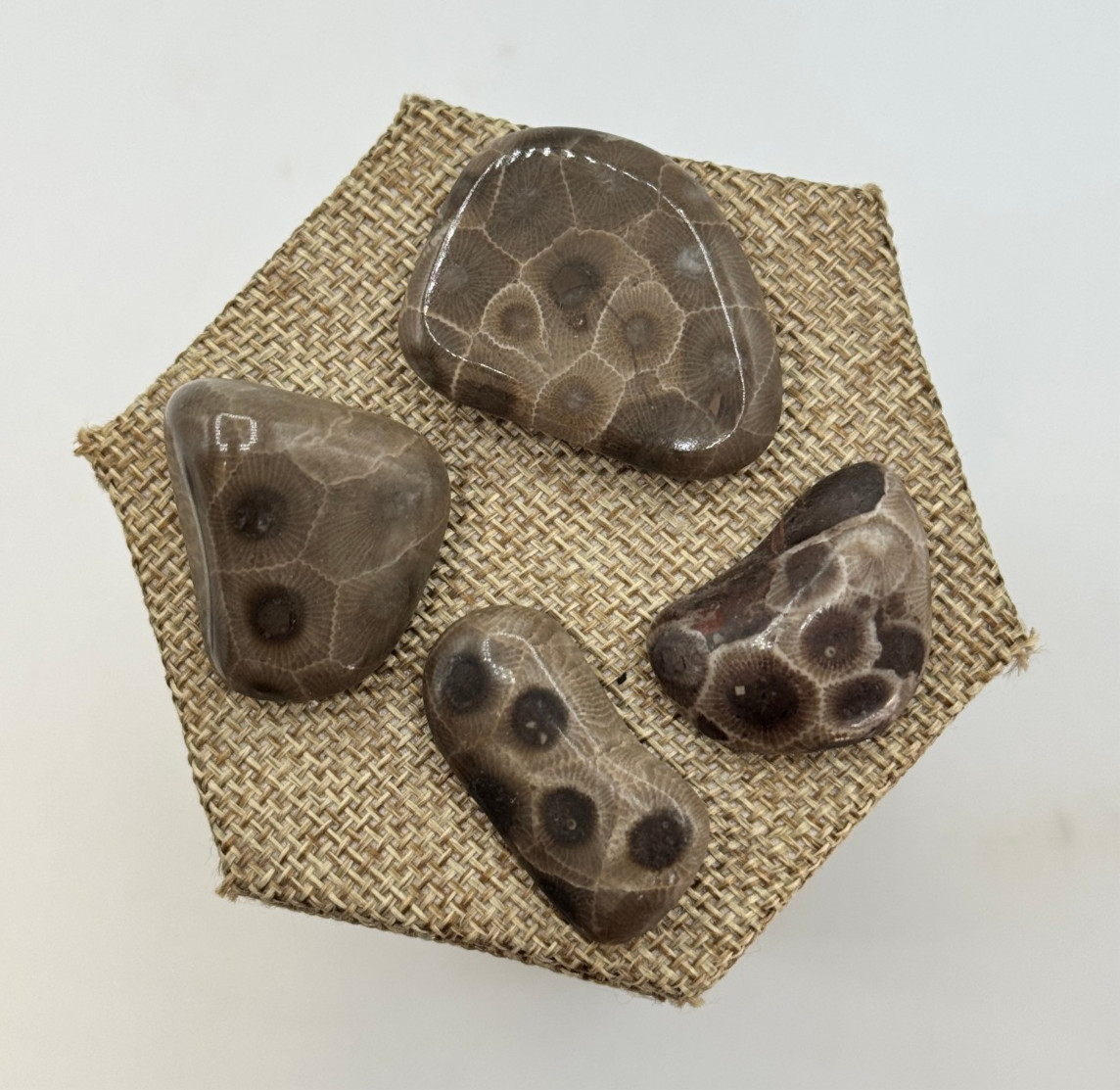 A BEAUTIFUL SET OF 4 POLISHED PETOSKEY STONES - BELOW RETAIL