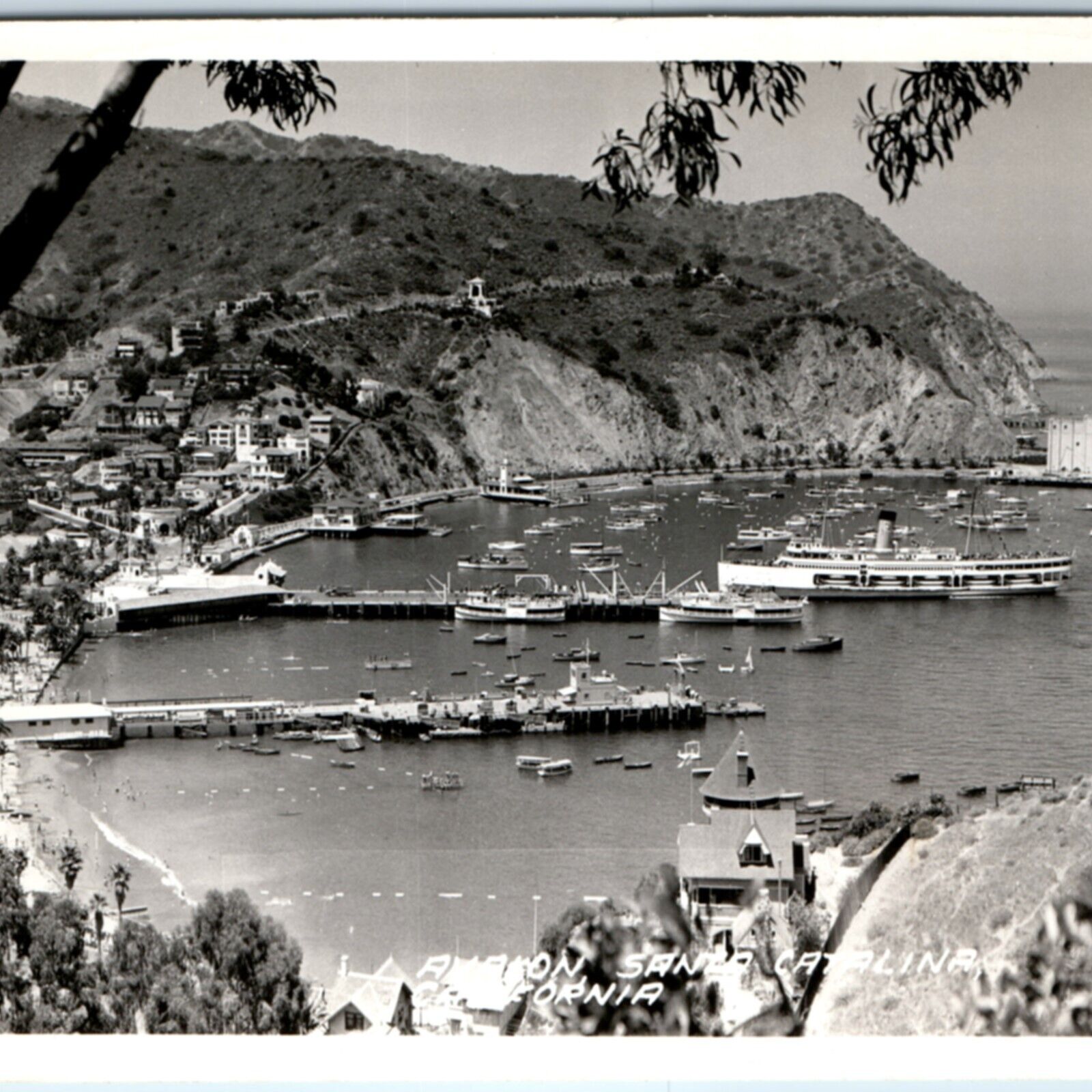 c1940s Avalon, Santa Catalina CA RPPC Birds Eye Harbor Steamship Real ...
