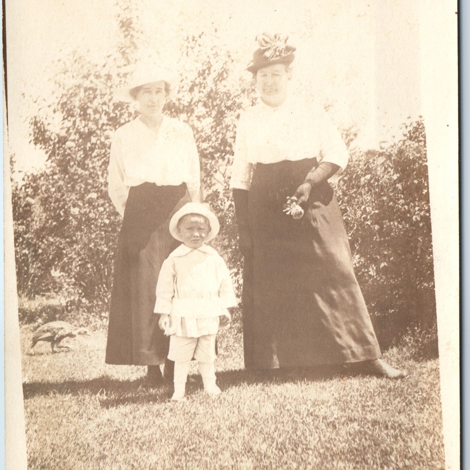 c1910s Outdoor Family Portrait RPPC Women Young Boy Straw Hats Bird Quail Photo