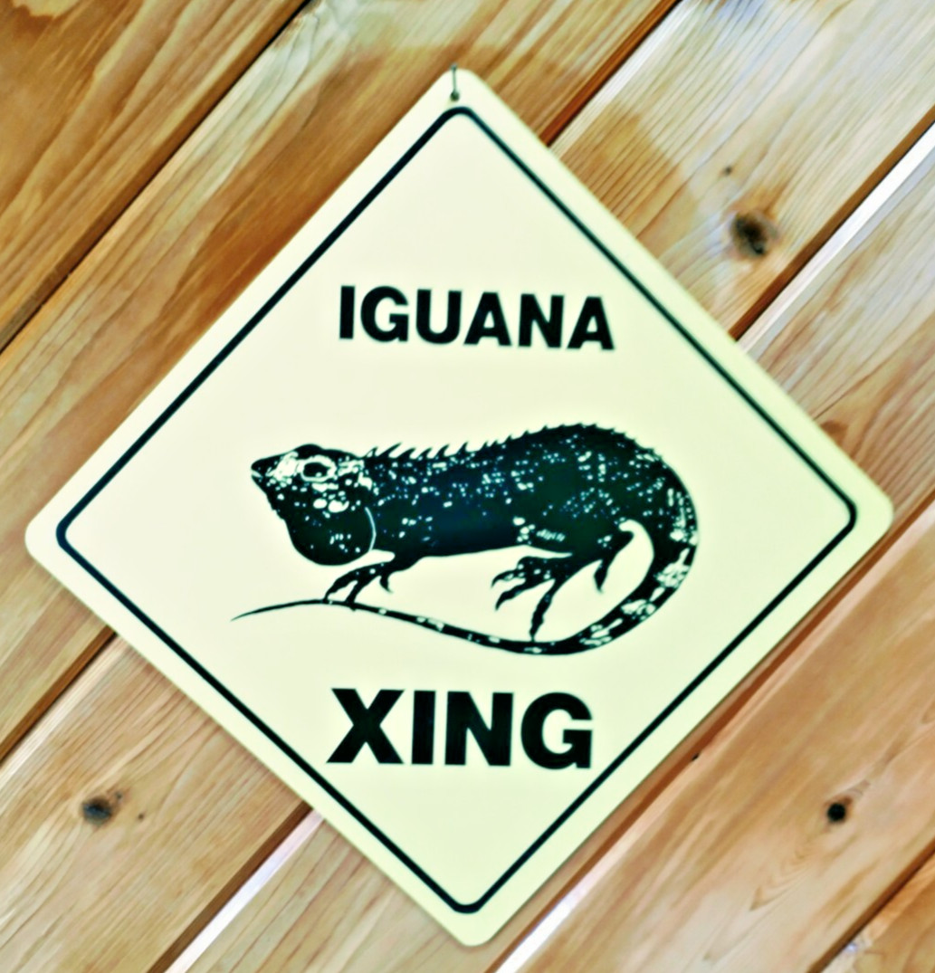 Iguana Crossing Garden Sign 12X12 Yellow Vinyl Lizard Wildlife XING Decor
