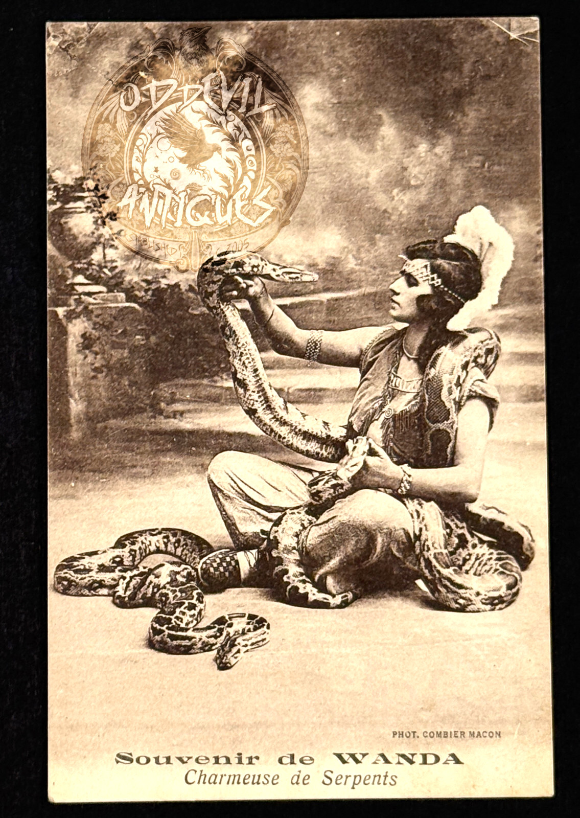 10s French Snake Charmer Wanda circus carnival sideshow postcard