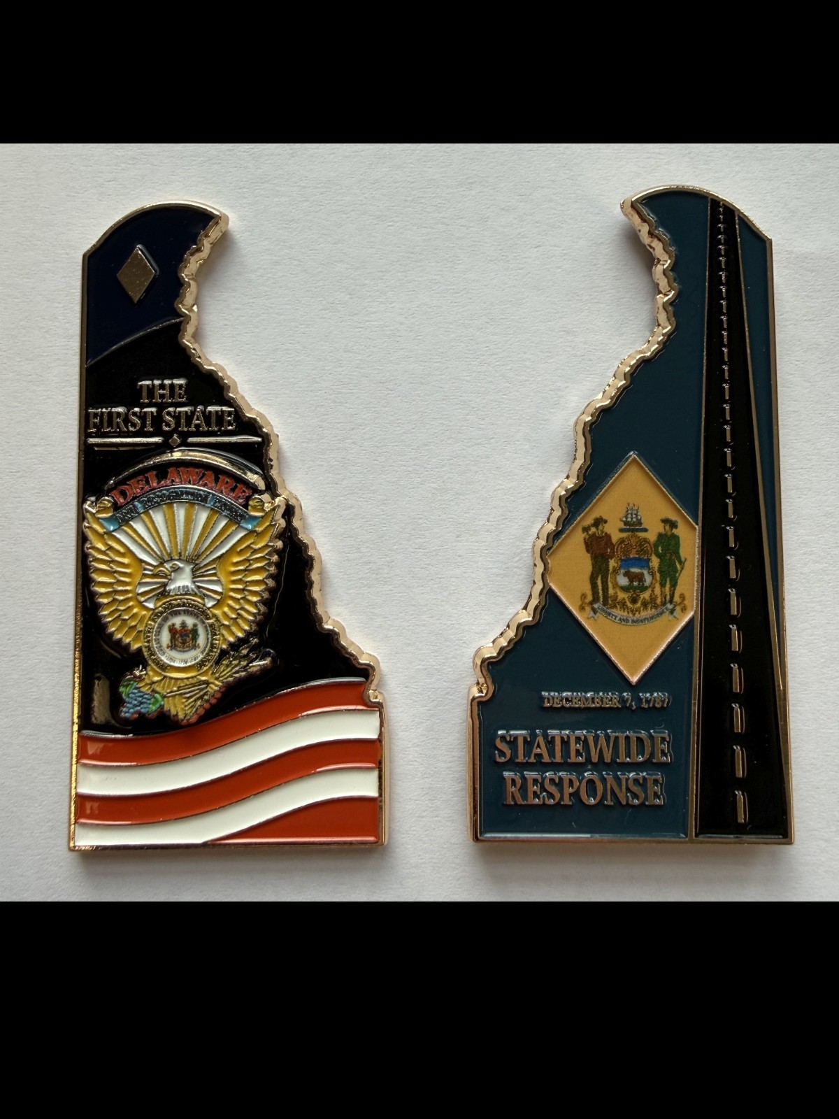 Delaware Drug Recognition Expert DRE Challenge Coin-New Aug, 2026-FREE Shipping