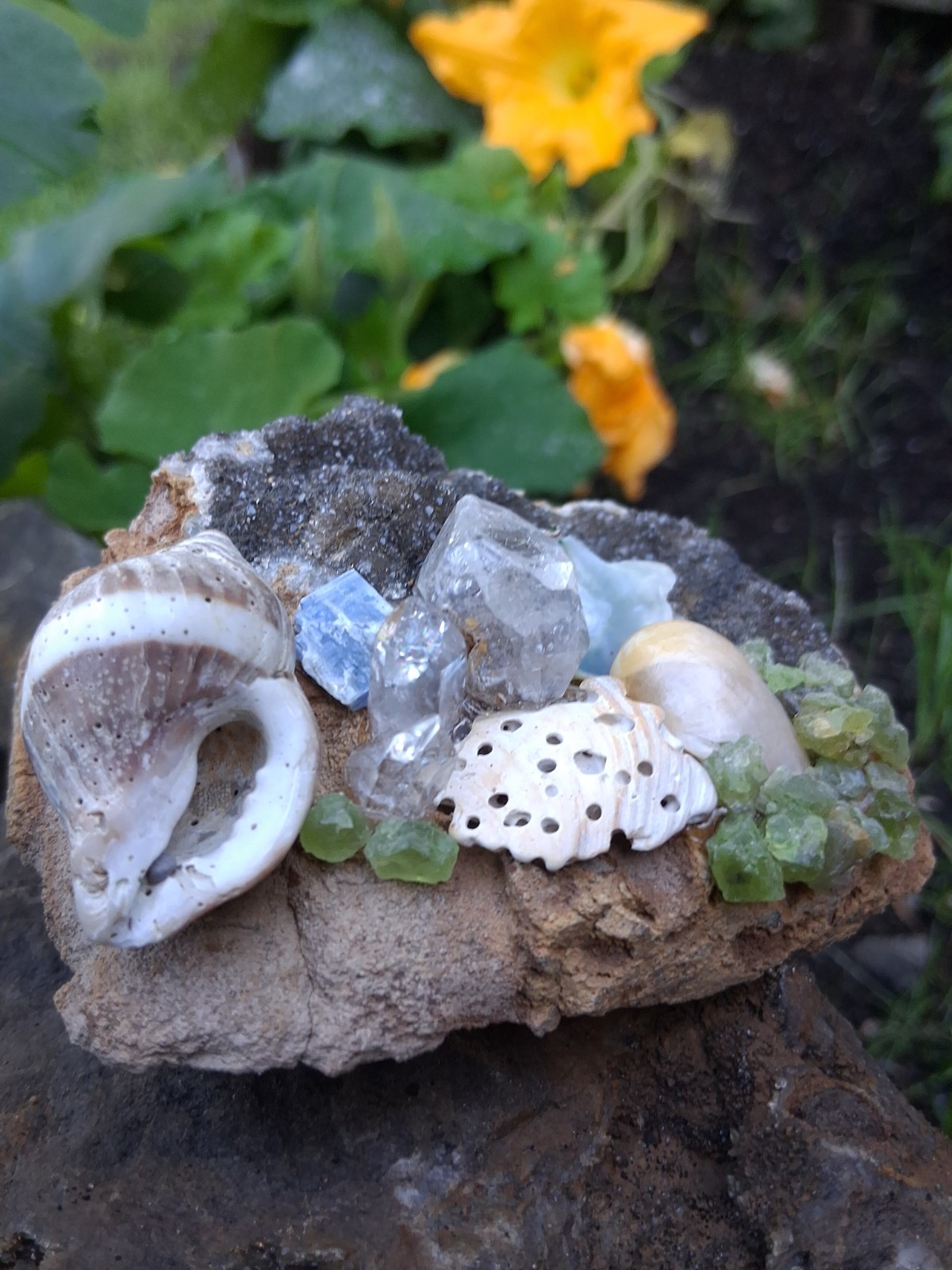  NY  ❤️  Herkimer 💎 Druze  Display Piece ( Baker Beach S.F. Cali 🌊  🐚   