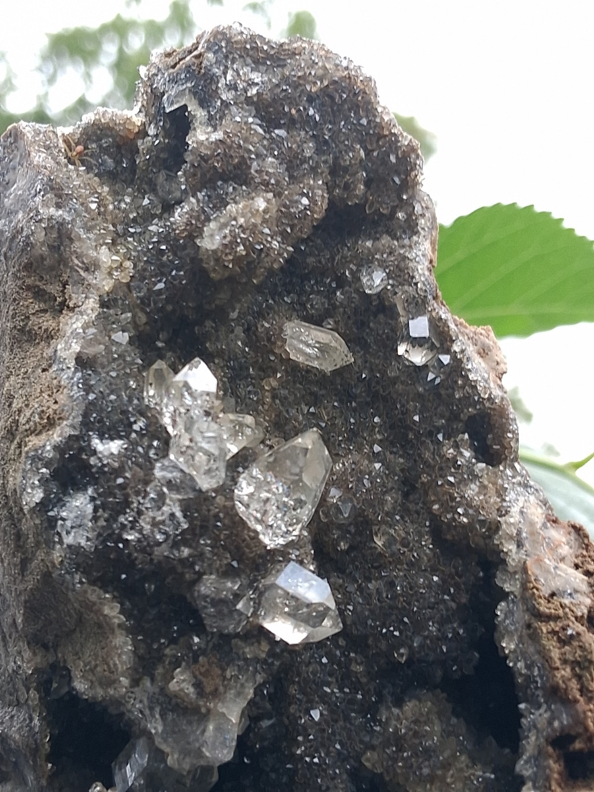 💯 Natural Herkimer 💎s Perchers On Rare Dark Druze \