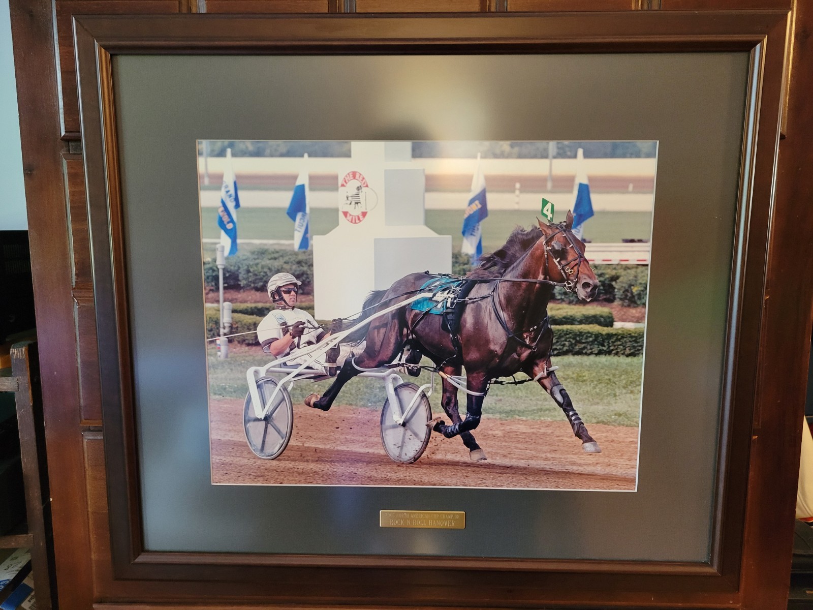 Framed 29 3/4 x 25 3/4 USTA Photo - Rock N Roll Hanover Driven By Brian Sears