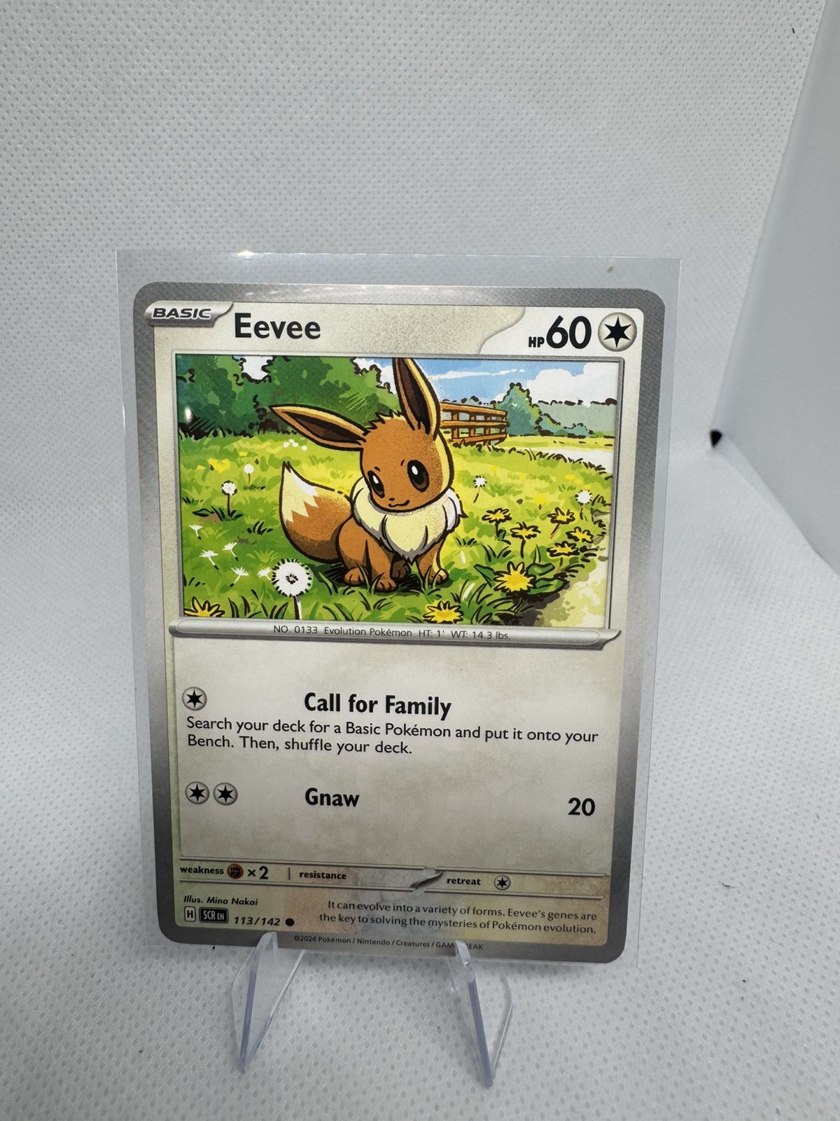 Eevee #113