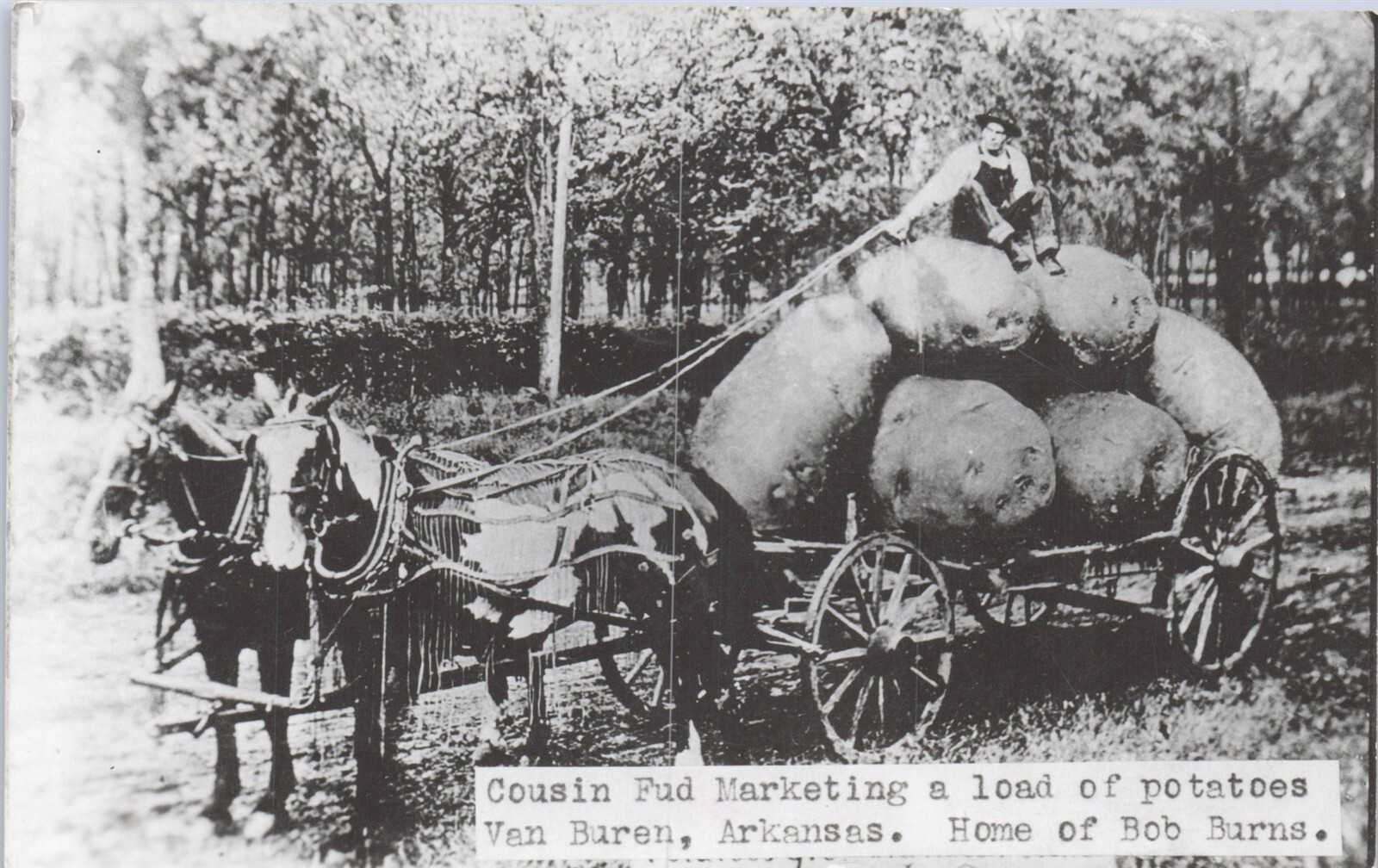Vintage RPPC Postcard Cousin Fud Exaggeration Potatoes Van Buren AK B Buren