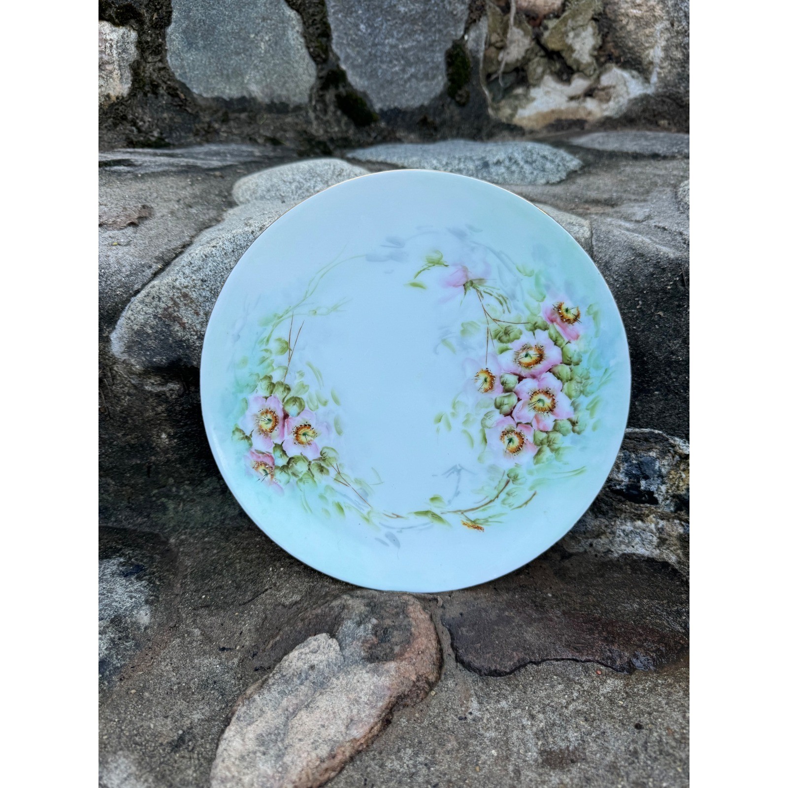 Vintage Thomas Sevres Bavaria Hand Painted Floral Cabinet Plate K Findlater 8.5